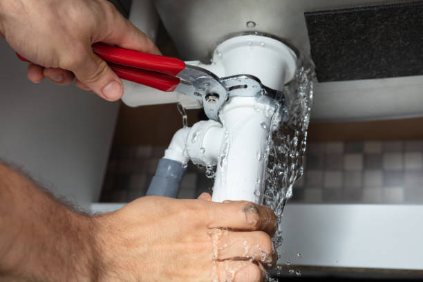 Best Basement water damage restoration  in New Chicago, IN