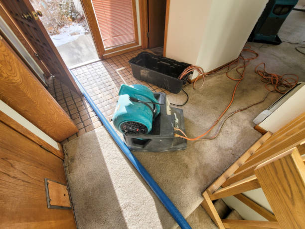 Best Water damage mitigation services  in New Chicago, IN